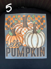 Load image into Gallery viewer, pumpkin designs t-shirt/hoodie
